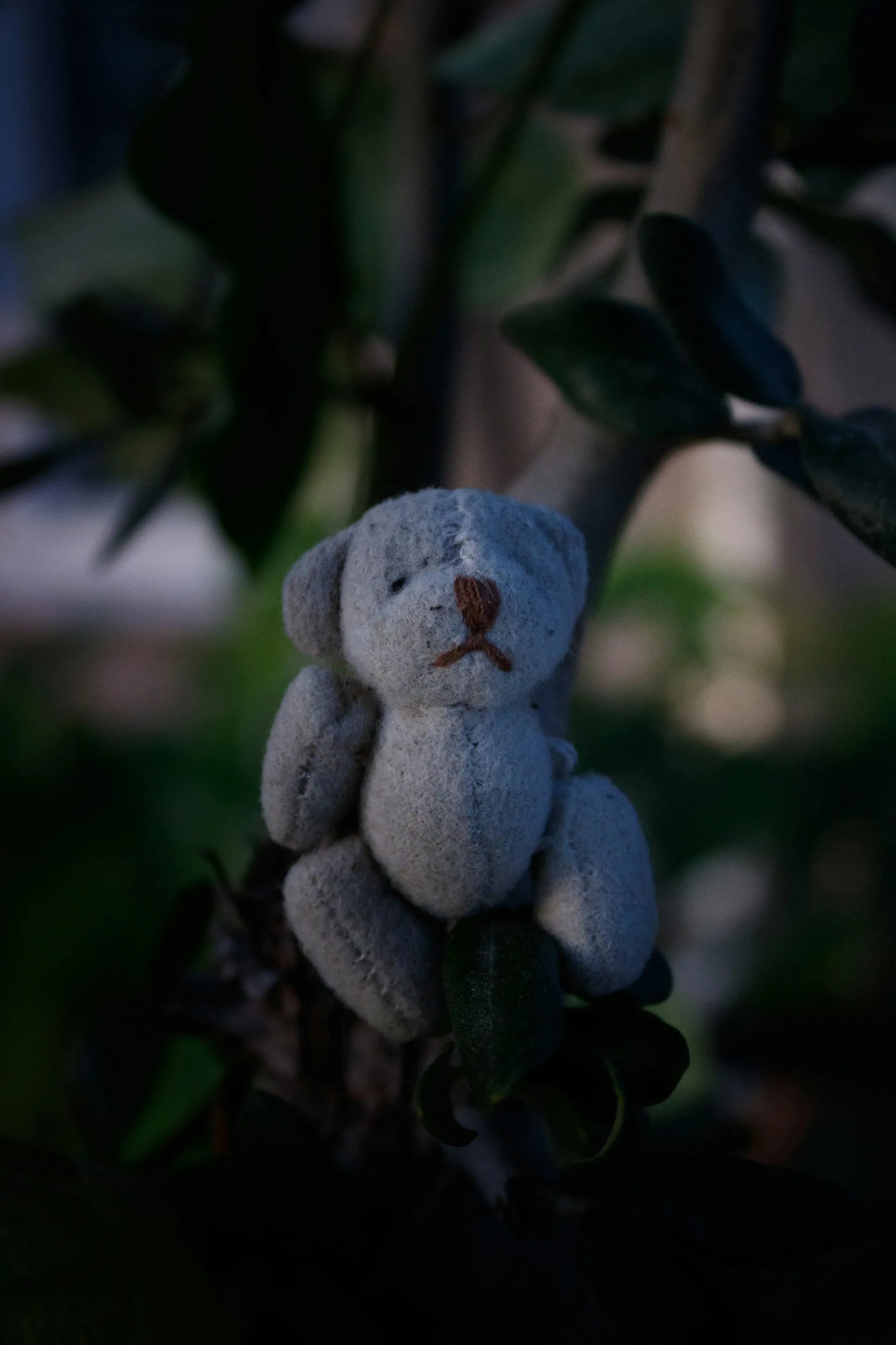 Arda aykan 0Ea6fpE4bus unsplash