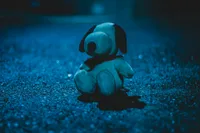 Cris s 1mazhD9H 00 unsplash