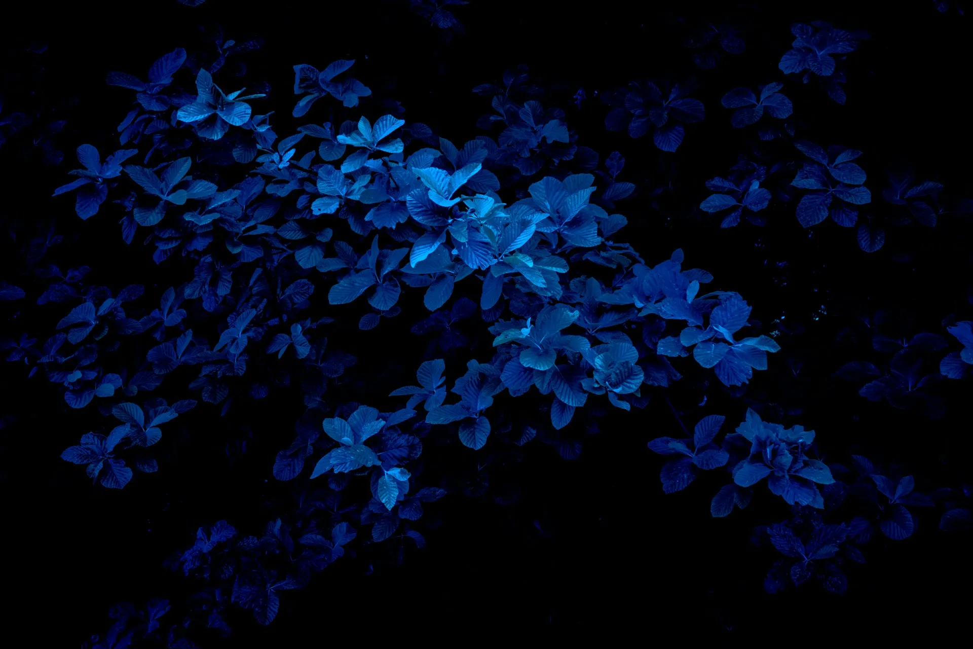 Fabrizio conti kXVogATbFgA unsplash