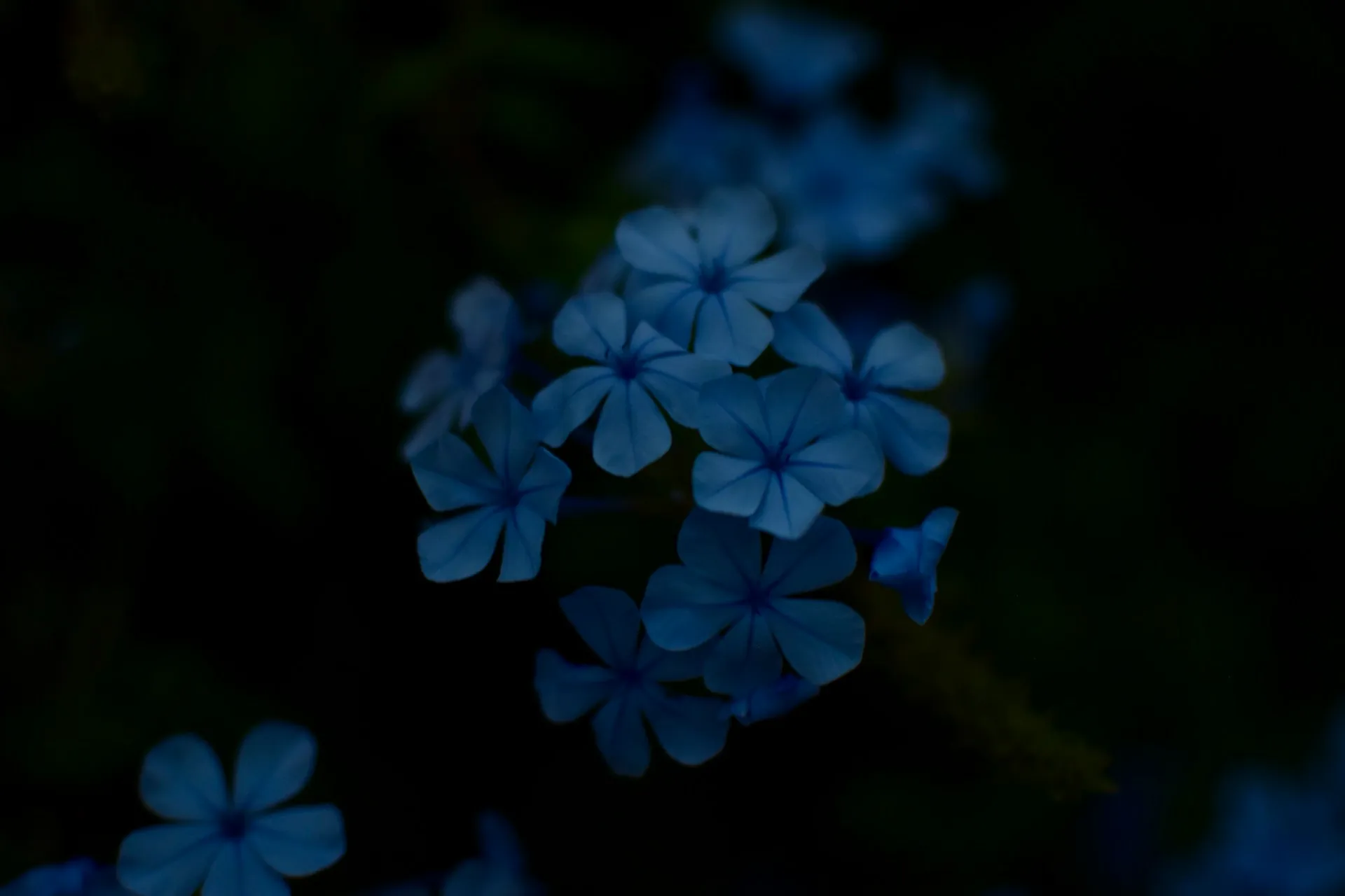 Hitomi bremmer Cm14zH6EStk unsplash